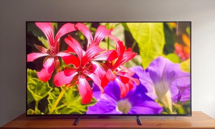 Vizio M Series Highly Reviewed: Pros and Cons