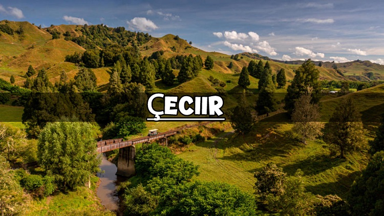 Çeciir: Bridging the Past and Present Through Art and History